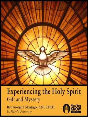 cover image of Experiencing the Holy Spirit